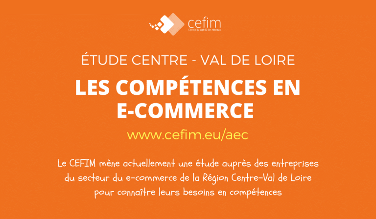 étude compétences e-commerce