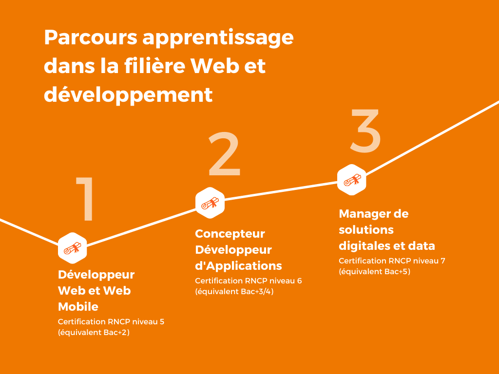 Schéma parcours filière web et développement